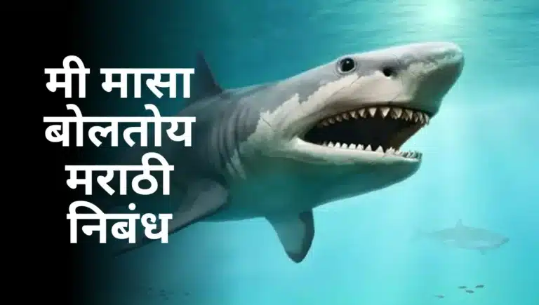 Mi Masa Boltoy Nibandh in Marathi: मी मासा बोलतोय मराठी निबंध