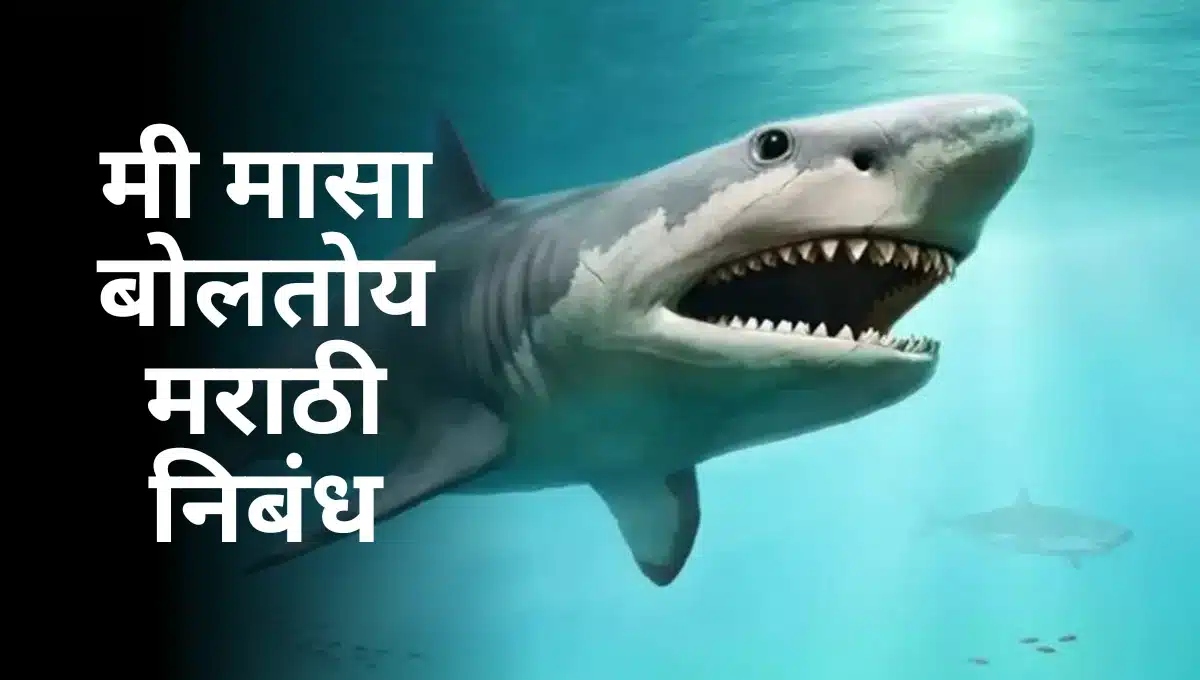 Mi Masa Boltoy Nibandh in Marathi: मी मासा बोलतोय मराठी निबंध