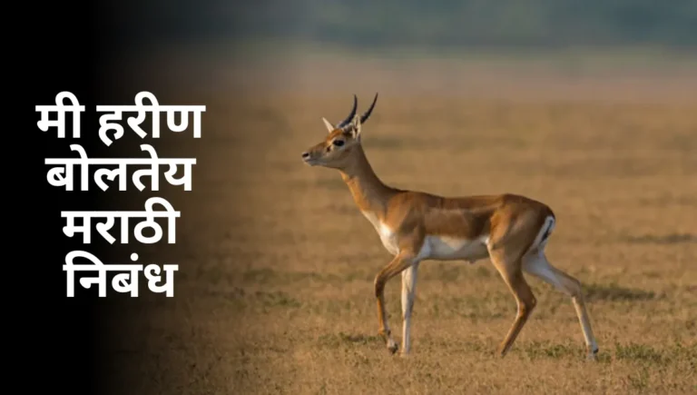 Mi Harin Boltey Nibandh in Marathi: मी हरीण बोलतेय मराठी निबंध